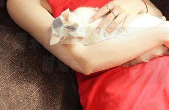 青豆客 – 原来白一晗的白衬衫有这份精选的张力，时髦得不要太自信噢！