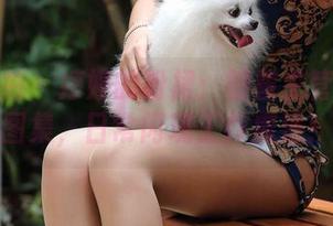 魔镜街拍 – 婷婷的粉裙：销售主管之高清图集，日常闪现工作魔法！